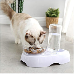Gravity Water and Food Bowls for Cat and Small Dogs, 15° Tilted Raised Cat Slow Feeder and Automatic Water Feeder Dispenser and Large Food Bowl Mat, Pet Elevated Slow Feed Bowls Set