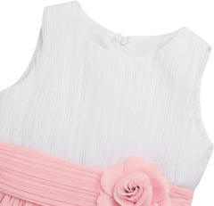 Hansber Kids Girls Sleeveless Pleated Chiffon Dress Layered Rear-Zipper Princess Dress with Flower Brooch
