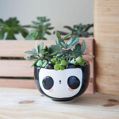 Cat Animal Ceramic Planter, 5 x 5 x 4 in., Exclusive Ceramic Animal Planters for Indoor and Outdoors, Cute Hand Painted Designed in Argentina, Convenient Drain Hole
