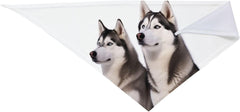 Husky Dogs Dog Bandana Pet Scarf Accessories for Small Medium Dogs Cats Photo Prop, Triangle Pet Bandanas Adjustable Puppy Bib Washable Dog Kerchief Puppy Neckerchief