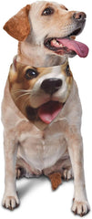 Cute Corgi Dog Bandana Pet Scarf Accessories for Small Medium Dogs Cats Photo Prop, Triangle Pet Bandanas Adjustable Puppy Bib Washable Dog Kerchief Puppy Neckerchief