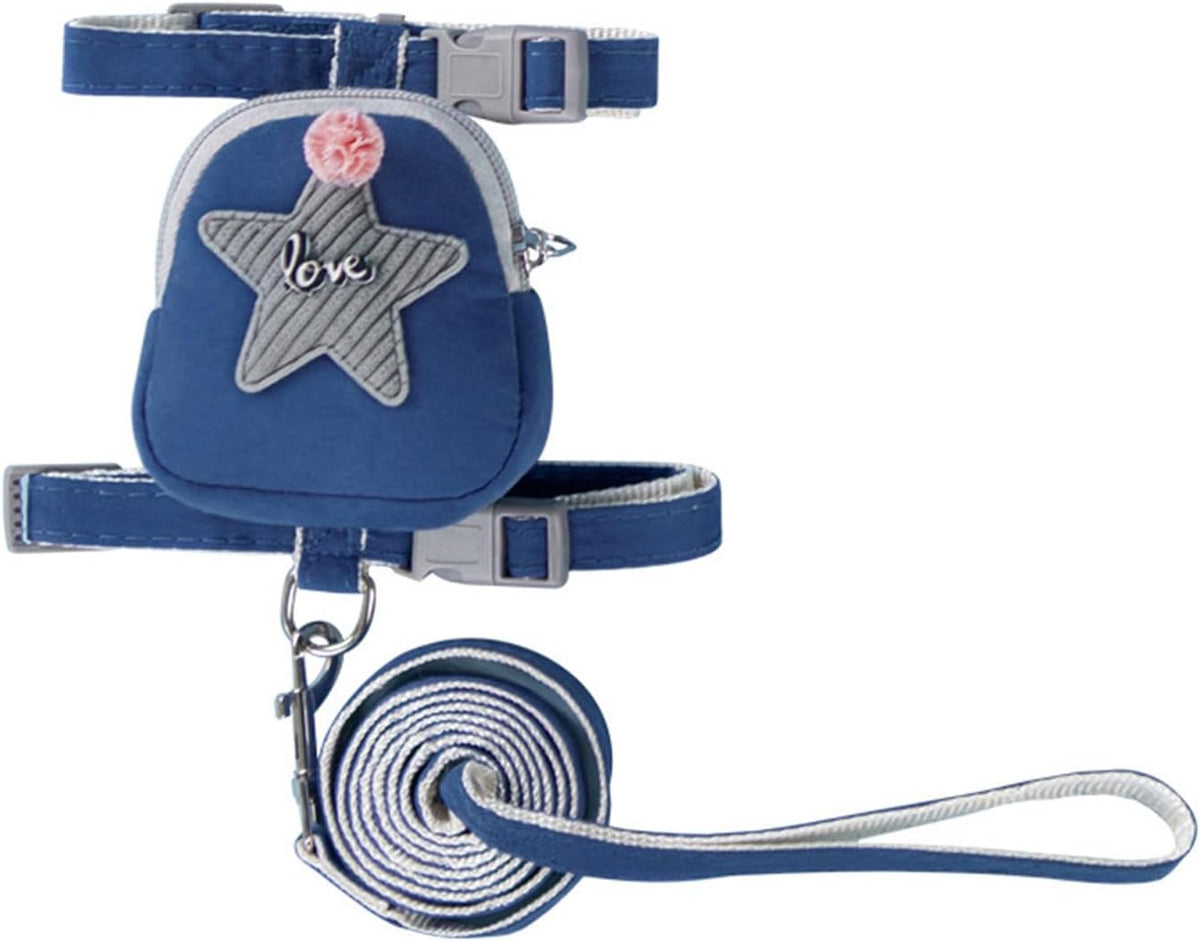 Dog Backpack Outdoor Training Pet Walking Camping Camping Essential Multifunctional Dog Saddles Bag and Leash Set