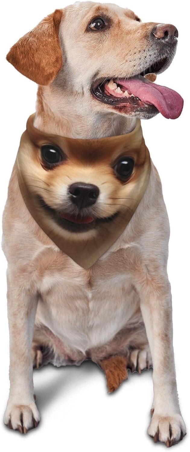 Cute Pomeranian Dog Dog Bandana Pet Scarf Accessories for Small Medium Dogs Cats Photo Prop, Triangle Pet Bandanas Adjustable Puppy Bib Washable Dog Kerchief Puppy Neckerchief