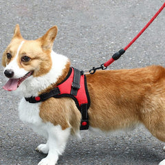 Dog Harness Leash, Reflective Dog Harness 360 Degree Around Soft Explosion Proof Uniform Pressure for Small Medium Large Dogs for Camping (S)