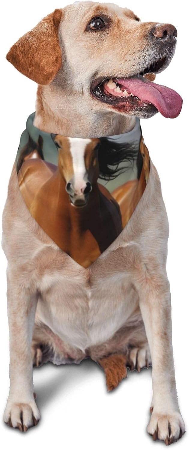 Horses Dog Bandana Pet Scarf Accessories for Small Medium Dogs Cats Photo Prop, Triangle Pet Bandanas Adjustable Puppy Bib Washable Dog Kerchief Puppy Neckerchief