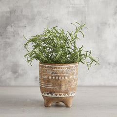 47th & Main Cement Home Decor Pot Planter for Succulents and Flowers, Large, Braided