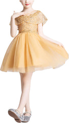 Children's Evening Dresses Birthday Tutu Flower Girl Princess Dresses
