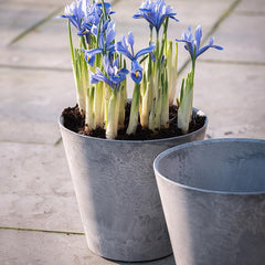 Root & Vessel Napa Round Planter, Gray, 6"