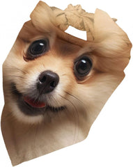 Cute Pomeranian Dog Dog Bandana Pet Scarf Accessories for Small Medium Dogs Cats Photo Prop, Triangle Pet Bandanas Adjustable Puppy Bib Washable Dog Kerchief Puppy Neckerchief