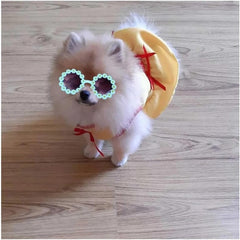 Decorative Play Pet Accessories Flower Sunglasses Round Role Play Glasses Photo Props Cat Glasses & Spectacles(Yellow)