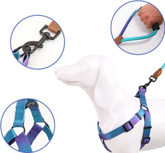 Dog Chest Harness with Leash Nopull Pet Chest Belt Walking Dogs Vests Harness Outdoor Activity Dog Colorful