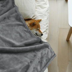 Onarway Dog Blanket Washable for Puppy: 4 Packs Dog Blankets 40”x28” - Fluffy Soft Small Throw for Cat Puppy Kitten Dogs - Fleece Pet Blankets for Bed Sofa Car and Indoor - Grey and Khaki