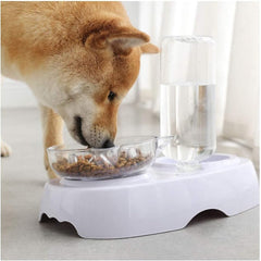 Gravity Water and Food Bowls for Cat and Small Dogs, 15° Tilted Raised Cat Slow Feeder and Automatic Water Feeder Dispenser and Large Food Bowl Mat, Pet Elevated Slow Feed Bowls Set