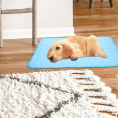 Furry Basics Dog Cooling Mat,Summer Indoor Dog Cooling Pad,Thickened Anti Scratch Self Cool Ice Silk Pad for Cats,Washable Non Slip Pet Bed Blanket (Pink, 30 * 40cm/11.8 * 15.7inch)