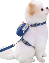Dog Backpack Outdoor Training Pet Walking Camping Camping Essential Multifunctional Dog Saddles Bag and Leash Set