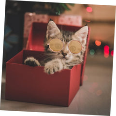 Funny Pet Sunglasses 10 Pack Dog Cat Goggles Fashionable Costume Props Adorable Pet Glasses for Small Pets