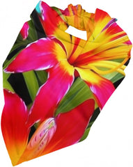 Hawaiian Colorful Flower Dog Bandana Pet Scarf Accessories for Small Medium Dogs Cats Photo Prop, Triangle Pet Bandanas Adjustable Puppy Bib Washable Dog Kerchief Puppy Neckerchief