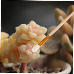 5Pcs Flower Pollination Tools Gardening Pollinator Brushes for Fruit Trees Vegetables Flowers Hand Tool for Efficient Self Pollination Plant Care