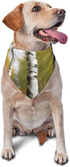 Birch Trees Dog Bandana Pet Scarf Accessories for Small Medium Dogs Cats Photo Prop, Triangle Pet Bandanas Adjustable Puppy Bib Washable Dog Kerchief Puppy Neckerchief