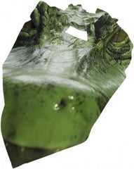 Gator Lurking Green Dog Bandana Pet Scarf Accessories for Small Medium Dogs Cats Photo Prop, Triangle Pet Bandanas Adjustable Puppy Bib Washable Dog Kerchief Puppy Neckerchief