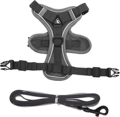 HANABASS Small Dog Harness Leash Reflective Breathable Vest for Cats and Small Dogs for Walking and Outdoor Activities