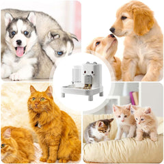 Automatic Cat Feeder – 2-in-1 Dog Food and Water Dispenser | Detachable Pet Bowl for Puppies, Kittens, Rabbits, Indoor Feeding, Outdoor Travel, Vacation Care, Hydration & Home Use