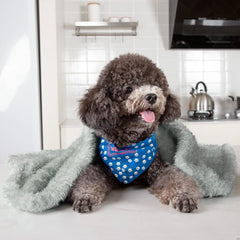 MACEVIA Fluffy Fleece Dog Blankets,Warm Soft Fuzzy Pets Blanket for Puppy,Small,Medium,Large Dogs and Cats,Plush Pet Throws for Bed,Couch,Sofa,Travel(29x40 Inch, Pink)