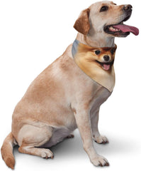 Cute Pomeranian Dog Bandana Pet Scarf Accessories for Small Medium Dogs Cats Photo Prop, Triangle Pet Bandanas Adjustable Puppy Bib Washable Dog Kerchief Puppy Neckerchief