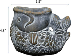 Classic Home and Garden Cement Seashell Planter, Cute Desk Decoration or Gift – Jagger Shell Planter w Drain Plug – Succulent Plant Pot for Indoor/Outdoor Beach Décor