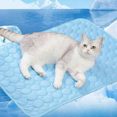 Pet Cooling Mat, Washable Cooling Mat for Dogs Cats, 50 x 40cm Pet Cool Mat Ice Silk Cushion, Portable Dog Cool Bed for Summer, Ideal for Indoor Outdoor Use