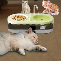 Cat Fountain Water Bowl Stainless Steel, 2 in 1 Automatic cat Feeder for Pets Dogs, Puppies, Kittens (Pink, S)