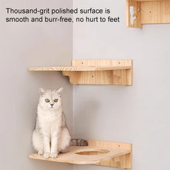 Cat Climbing Tree, Cat Wall Furniture Set, Wall Mounted Cat Climbing Frame, Cat Stairs(Package 6)