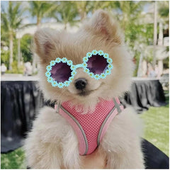 Decorative Play Pet Accessories Flower Sunglasses Round Role Play Glasses Photo Props Cat Glasses & Spectacles(Yellow)