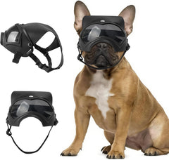 Dog Goggles,UV Protection Dog Sunglasses for Medium Breed,Dogs Eye Protection with Adjustable Strap and Detachable PU Leather Hat (Colorful Glass)