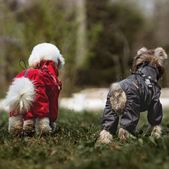 Dog Raincoat, Pet Dog Raincoats Suitable for Large and Small Dogs Clothes Windproof and Waterproof Puppy Rainwear