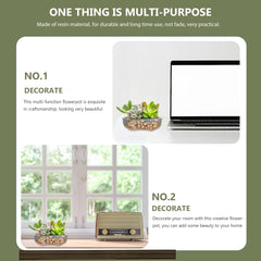 Operitacx 7.48 Inch Ceramic Succulent Pot, Large Succulent Planter for Plant Windowsill Office Desk