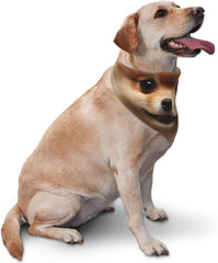 Cute Pomeranian Dog Dog Bandana Pet Scarf Accessories for Small Medium Dogs Cats Photo Prop, Triangle Pet Bandanas Adjustable Puppy Bib Washable Dog Kerchief Puppy Neckerchief