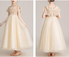 Children's Evening Dresses Birthday Tutu Flower Girl Princess Dresses