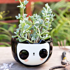 Cat Animal Ceramic Planter, 5 x 5 x 4 in., Exclusive Ceramic Animal Planters for Indoor and Outdoors, Cute Hand Painted Designed in Argentina, Convenient Drain Hole