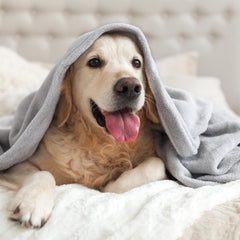 Magshion Calming Dog Blankets for Large Dogs, Machine Washable, Fluffy Flannel Throw Blanket for Couch, Bed, or Car from Stains, Spills or Pet Fur, 50 x 61 Inches, Light Gray