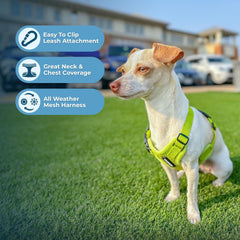 Best Pet Supplies Voyager Step-in Air Dog Harness - All Weather Mesh, Reflective, No Pull Harness for Small, Medium Dogs, Cats - Secure with Hook & Loop Fastener, Buckle, Double D-Rings - Purple, M