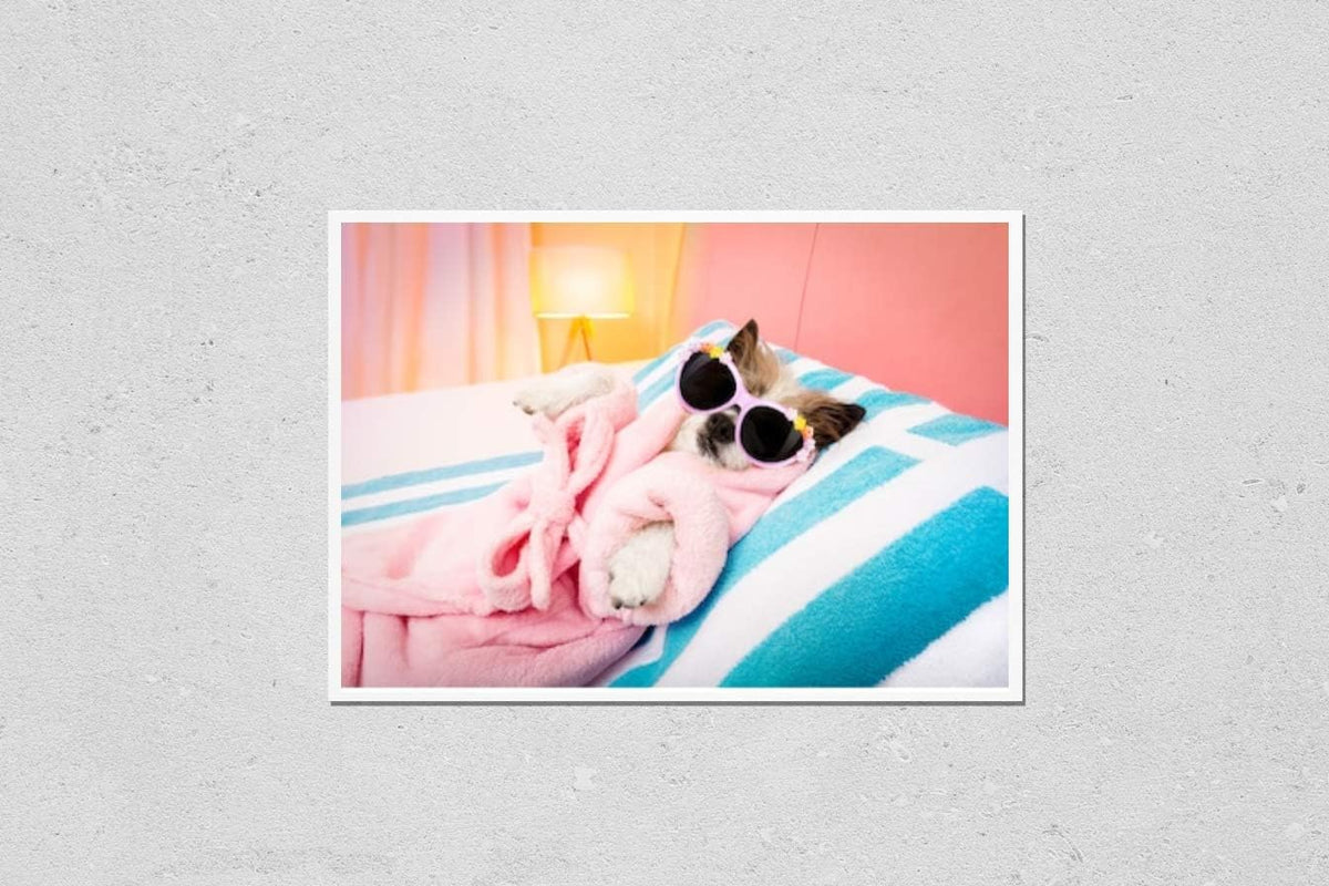 HardPress Wall Art Poster Print of Cool Funny Poodle Dog Resting and Relaxing in Spa Wellness Salon Center,Wearing a Bathrobe and Fancy Sunglasses