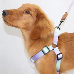 Dog Chest Harness with Leash Nopull Pet Chest Belt Walking Dogs Vests Harness Outdoor Activity Dog Colorful