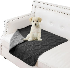 Waterproof Dog Blanket, 30x30 inches Small Pet Couch Covers for Sofa, Chair Bed Furniture Protector from Dogs Washable and Reversible-Lightgrey+Cream