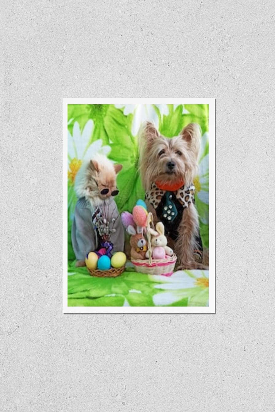 HardPress Wall Art Poster Print of Funny Dog and Cat Together with Easter Decoration. Postcard Design. Dog in Clothes and Cat with Sunglasses.