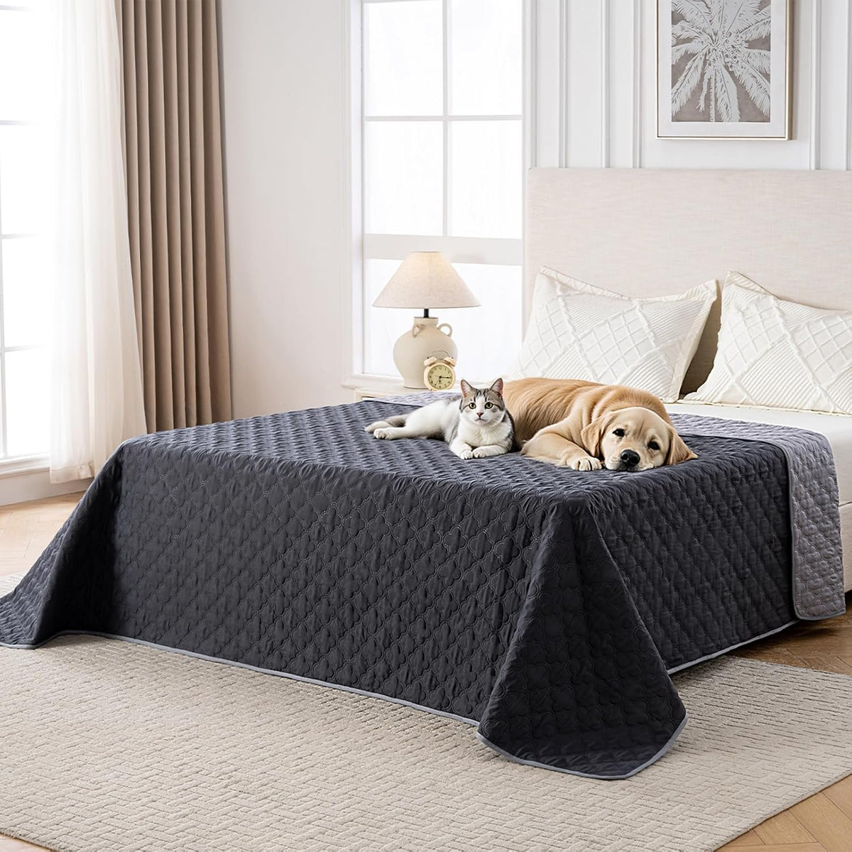 100% Double-Sided Waterproof Blanket, Couch Cover for Dogs Washable, Reversible Dog Bed Cover, Couch Furniture Protector. (Dark＆Light Grey, 40 X 50 Inch - 1 Pack)