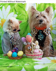 HardPress Wall Art Poster Print of Funny Dog and Cat Together with Easter Decoration. Postcard Design. Dog in Clothes and Cat with Sunglasses.