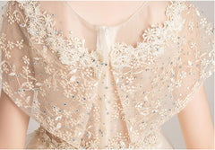 Children's Evening Dresses Birthday Tutu Flower Girl Princess Dresses