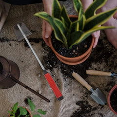 GANAZONO Garden Hand Tool Weeding Hoe Multi-Purpose Cultivating Hoe Small Light Portable for Gardening