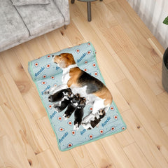 Cooling Dog Bed, Dog Cat Cooling Mat, Foldable Washable Pet Coolings Mat, Cute Pet Sleeping Pad, Breathable Summer Pets Ice Mats Sleeping Pad with Pillow(Blue)